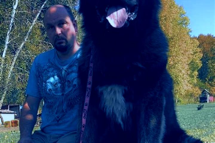 Ava, 22, a red blue-eyed caucasian companion based in Mountain Park. Offering Overnight, Duos, BDSM, Travel Companion. Available for incall and outcall, over...
