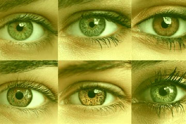 Ava, 22, a red hazel-eyed mediterranean companion based in Calienii Noi. Offering Erotic Massage, A-Level, Striptease, Party Girl. Available for incall and o...