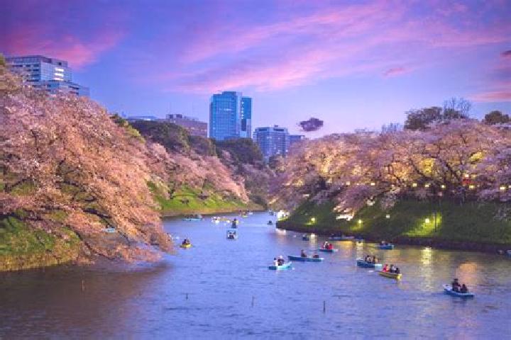 Ava, 23 — Escort in Fukagawa, Japan