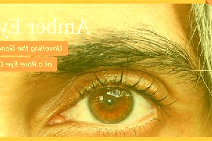Ava, 25, a red amber-eyed mediterranean companion based in Senorbi. Offering Roleplay, Deep French Kissing, Massage, Couples, Fetish. Available for incall an...
