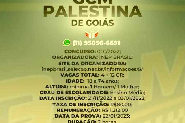 Ava, 25 — Escort in Palestina de Goias, Brazil