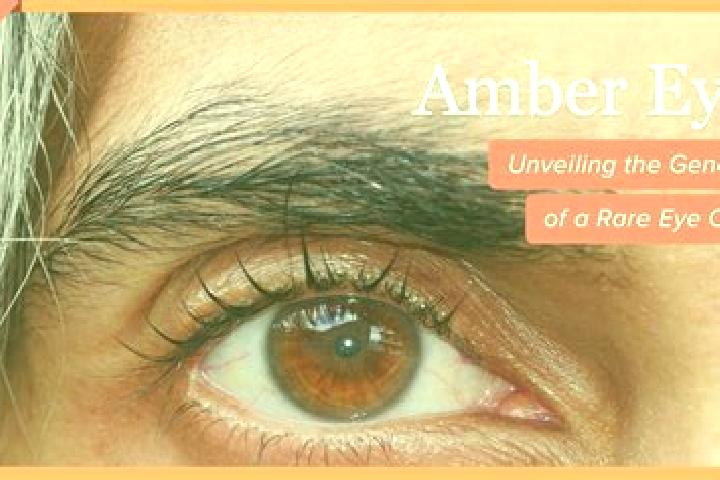 Ava, 26, a red amber-eyed middle eastern companion based in Dobersberg. Offering Deep French Kissing, Prostate Massage, BDSM, Erotic Massage, Roleplay. Avail...