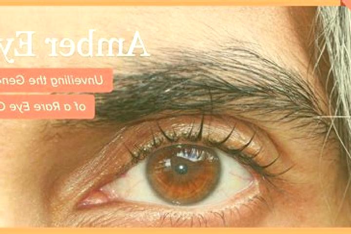 Ava, 27, a black amber-eyed caribbean companion based in Ibipitanga. Offering CIM, Tantra, A-Level, GFE. Available for incall and outcall, overnight bookings...