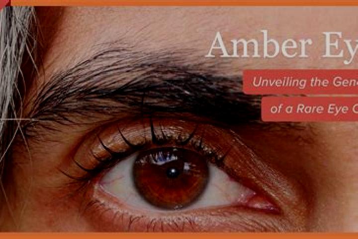 Ava, 27, a red amber-eyed mixed companion based in Kholmogory. Offering Couples, GFE, Duos. Available for incall and outcall, day and evening dates.