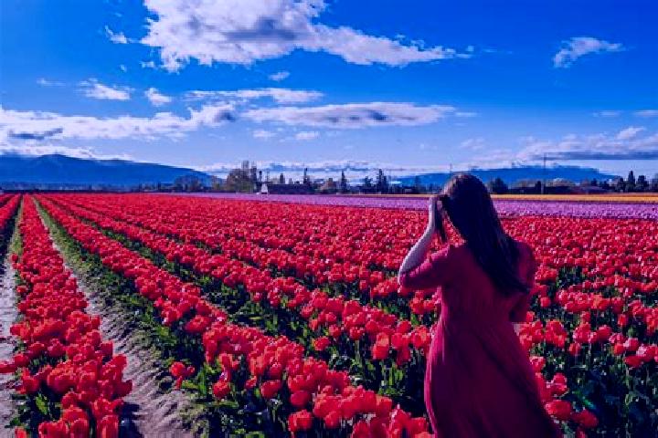 Ava, 27 — Escort in Vernon Valley, United States