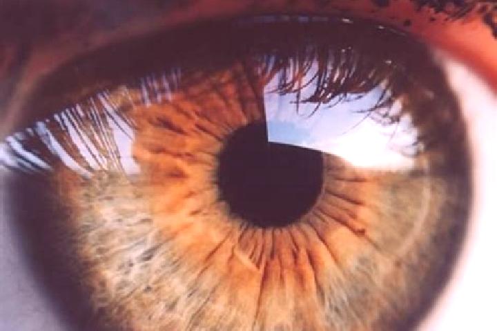 Ava, 28, a dark blonde hazel-eyed asian companion based in Rockwall. Offering Travel Companion, Striptease, Girlfriend Experience, Prostate Massage. Availabl...