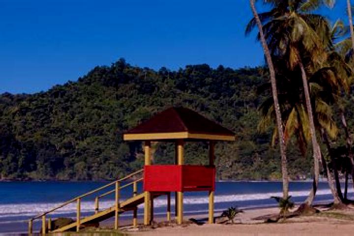 Ava, 28 — Escort in Scarborough, Trinidad and Tobago