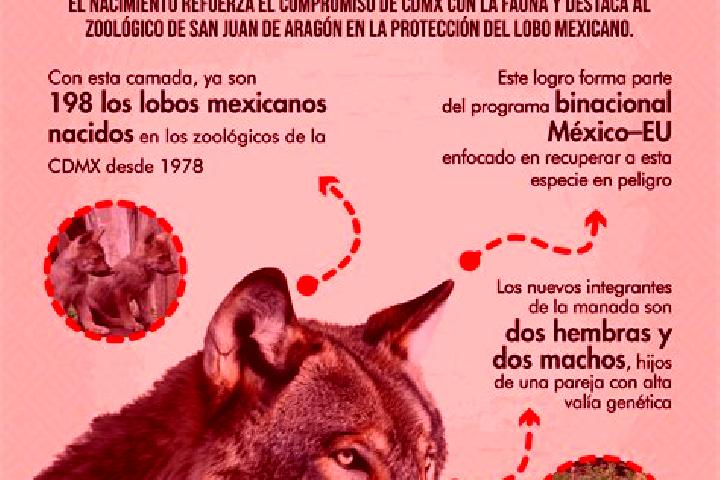 Ava, 29 — Escort in El Lobo, Mexico