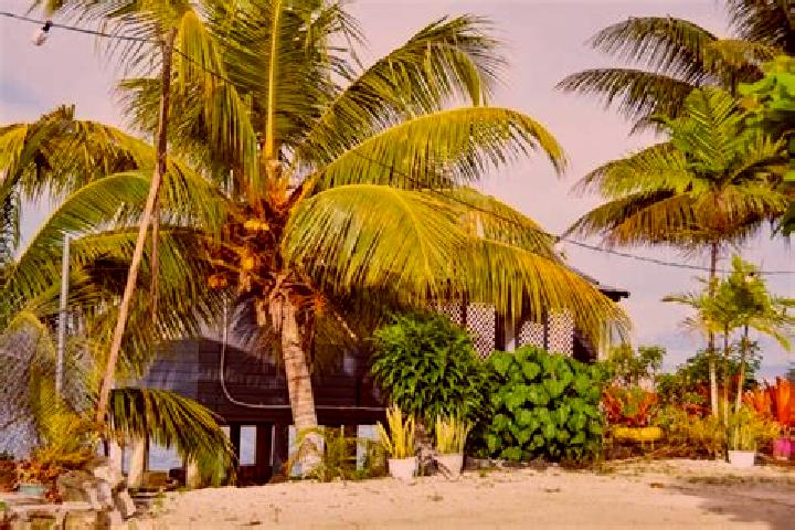 Ava, 29 — Escort in Matautu, Samoa