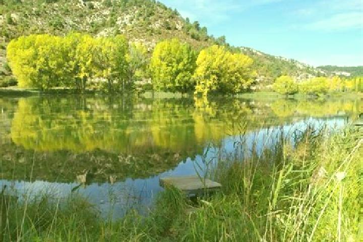 Ava, 32 — Escort in Laguna del Marquesado, Spain