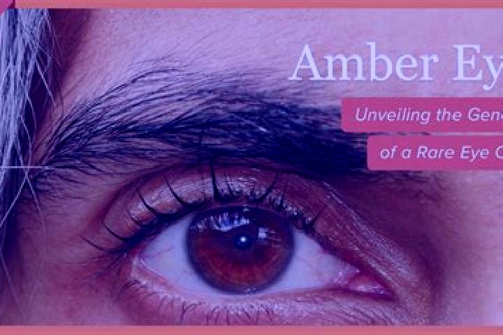 Ava, 33, a black amber-eyed middle eastern companion based in Bourbach-le-Bas. Offering A-Level, Girlfriend Experience. Available for incall and outcall, day...