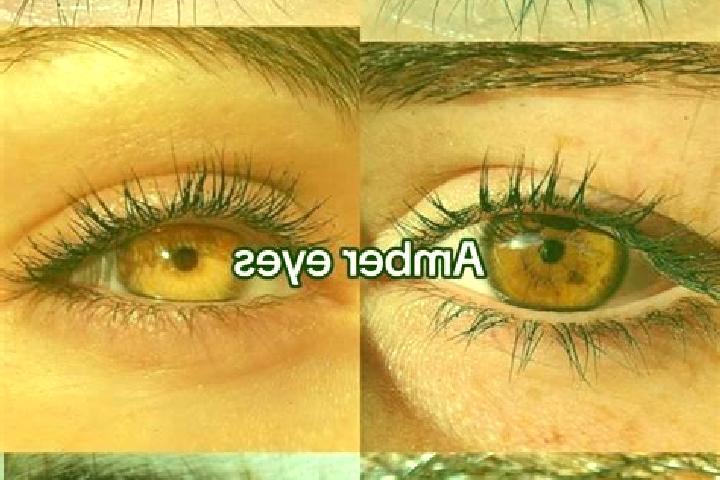 Ava, 33, a chestnut amber-eyed indian companion based in Lototla. Offering Massage, Striptease, Girlfriend Experience. Available for incall and outcall, over...