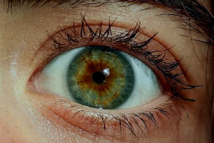 Ava, 34, a red hazel-eyed mixed companion based in Trimsaran. Offering BDSM, Domination, Striptease. Available for incall and outcall, overnight bookings ava...