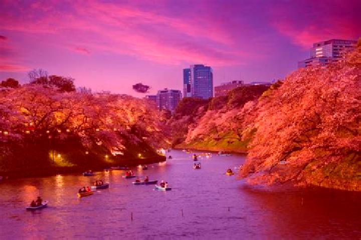 Ava, 34 — Escort in Komagome, Japan