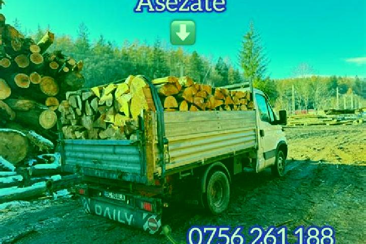 Ava, 34 — Escort in Sacalaz, Romania
