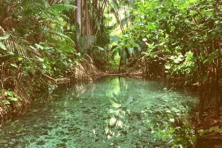 Ava, 35, a black green-eyed caribbean companion based in Olho d Agua do Piaui. Offering Massage, OWO, Travel Companion, Prostate Massage. Available for incal...