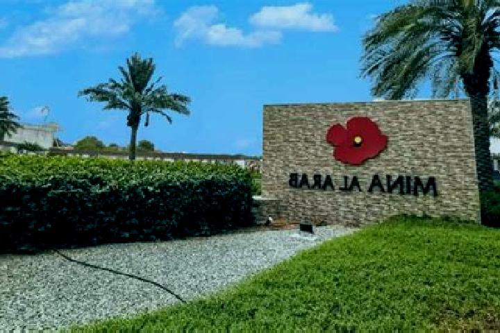 Ava, 35 — Escort in Al Husayn, Yemen