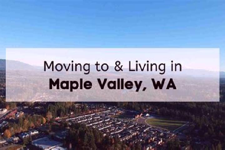 Ava, 35 — Escort in Maple Valley, United States