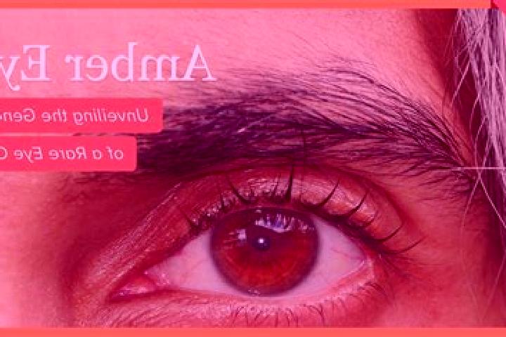 Ava, 36, a black amber-eyed ebony companion based in Tissa. Offering Tantra, A-Level, Deep French Kissing. Available for incall and outcall, overnight bookin...
