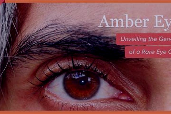 Ava, 36, a red amber-eyed european companion based in Shirong. Offering Travel Companion, BDSM, Erotic Massage, Prostate Massage. Available for incall and ou...