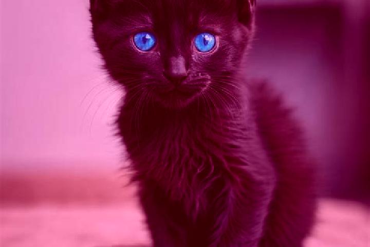 Ava, 37, a black blue-eyed caribbean companion based in Zhangyang. Offering Dinner Date, Girlfriend Experience, 69. Available for incall and outcall, overnig...