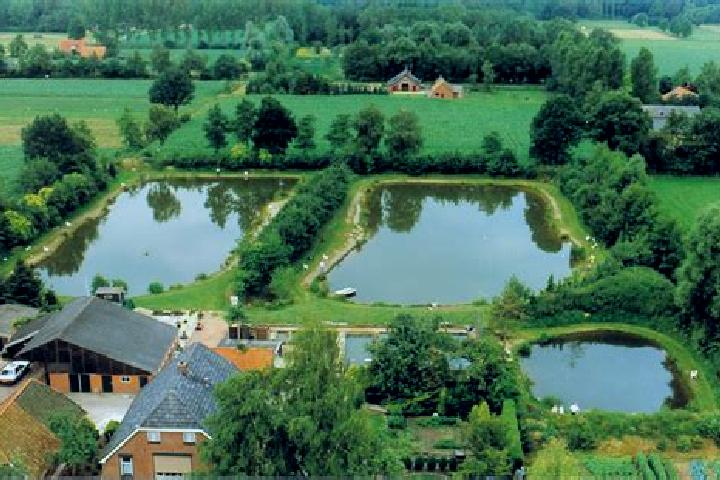 Ava, 37 — Escort in Grobbendonk, Belgium