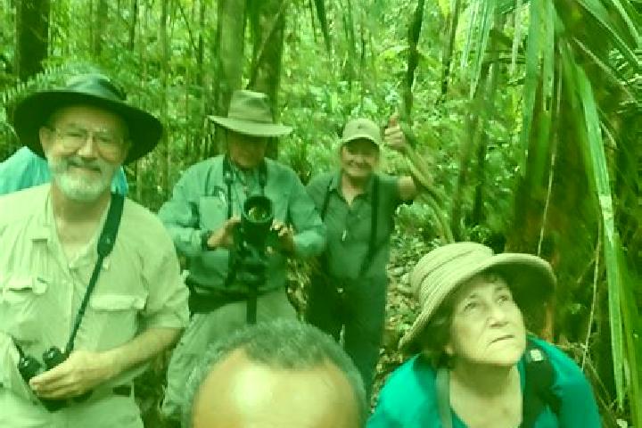 Ava, 37 — Escort in Kiunga, Papua New Guinea