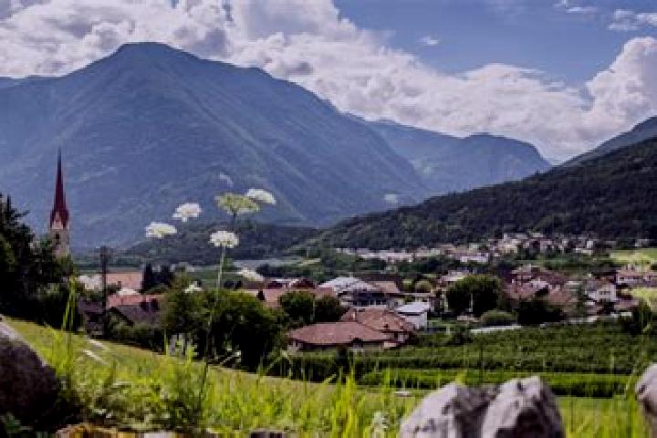 Ava, 37 — Escort in Naz-Sciaves - Natz-Schabs, Italy