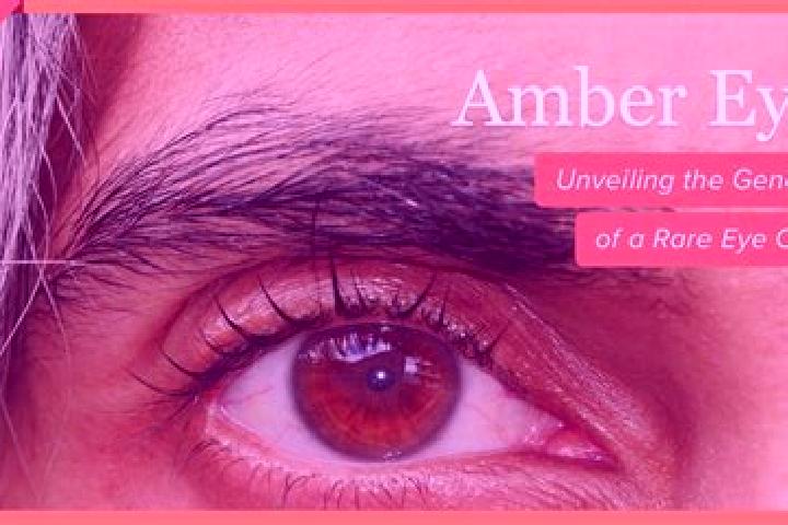 Ava, 38, a black amber-eyed caucasian companion based in Nangoh. Offering GFE, CIM, Overnight, Couples, A-Level. Available for incall and outcall, day and ev...