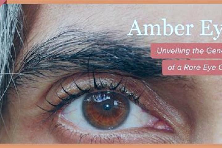 Ava, 38, a black amber-eyed mediterranean companion based in Alija de los Melones. Offering OWO, Domination, Tantra. Available for incall and outcall, overni...