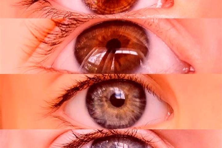 Ava, 38, a chestnut hazel-eyed caucasian companion based in Santana do Deserto. Offering Overnight, Fetish, Erotic Massage. Available for incall and outcall,...