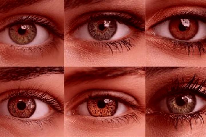 Ava, 39, a chestnut hazel-eyed caribbean companion based in Naranjal. Offering Party Girl, 69, Couples, Striptease. Available for incall and outcall, overnig...