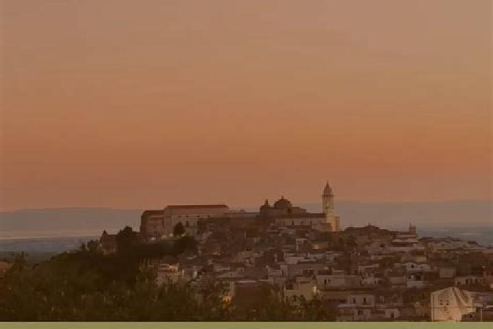 Avery, 20 — Escort in Minervino Murge, Italy