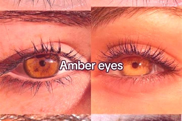 Avery, 21, a chestnut amber-eyed european companion based in El Correo. Offering Party Girl, Prostate Massage, Massage, CIM, OWO. Available for incall and ou...