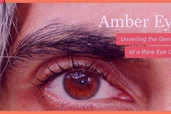 Avery, 21, a red amber-eyed mixed companion based in Acalapa. Offering Girlfriend Experience, Massage, Prostate Massage, Tantra, 69. Available for incall and...