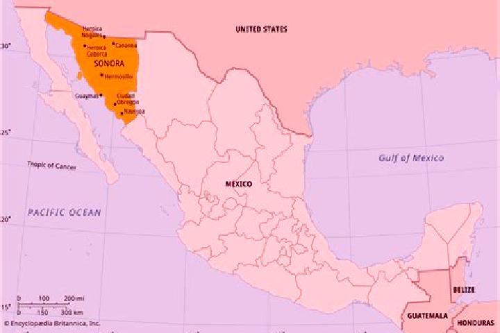 Avery, 21 — Escort in Agua Senora, Mexico