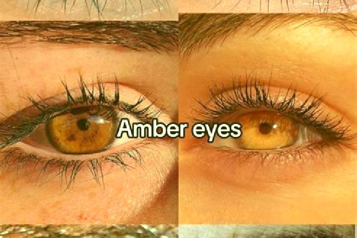 Avery, 22, a chestnut amber-eyed mixed companion based in Trebotov. Offering Erotic Massage, Overnight, CIM, OWO. Available for incall and outcall, day and e...