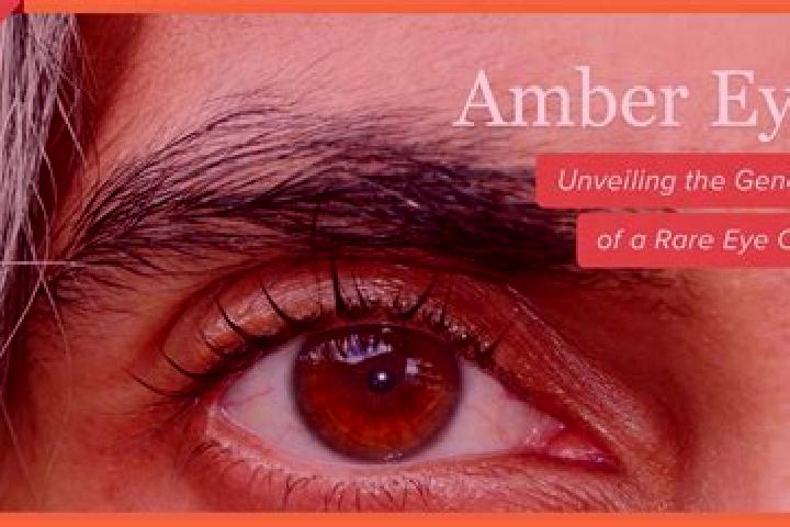 Avery, 22, a red amber-eyed ebony companion based in Caburan. Offering Roleplay, Deep French Kissing, Tantra. Available for incall and outcall, day and eveni...