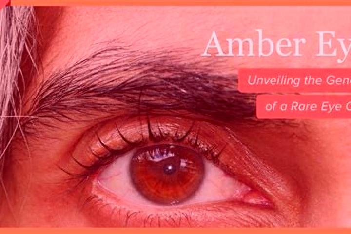 Avery, 22, a red amber-eyed latina companion based in Loboniki. Offering Duos, Striptease, BDSM. Available for incall and outcall, overnight bookings available.