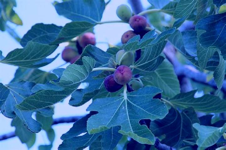 Avery, 22 — Escort in La Higuera, Mexico