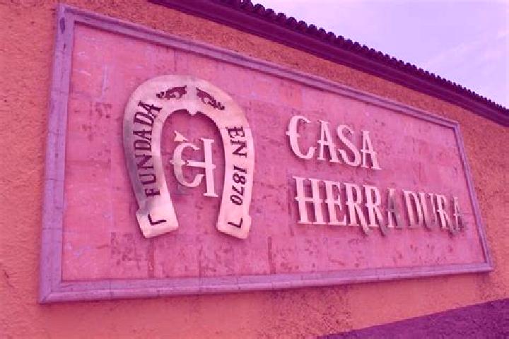 Avery, 22 — Escort in Romulo Calzada (La Herradura), Mexico