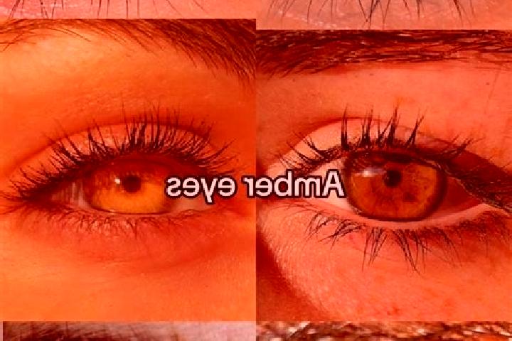 Avery, 23, a chestnut amber-eyed ebony companion based in Biere. Offering Dinner Date, Tantra, Fetish. Available for incall and outcall, day and evening dates.