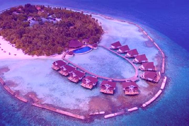 Avery, 23 — Escort in Mahibadhoo, Maldives