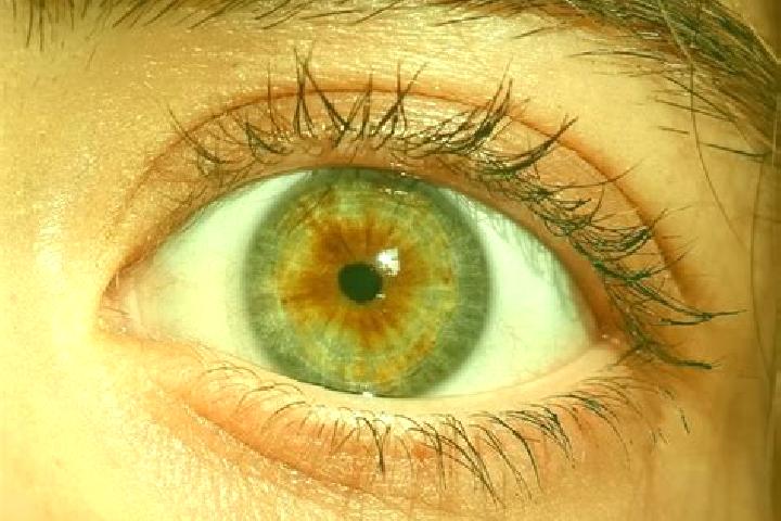 Avery, 24, a red hazel-eyed european companion based in Kayisli. Offering Fetish, Dinner Date, A-Level, Girlfriend Experience, Overnight. Available for incal...