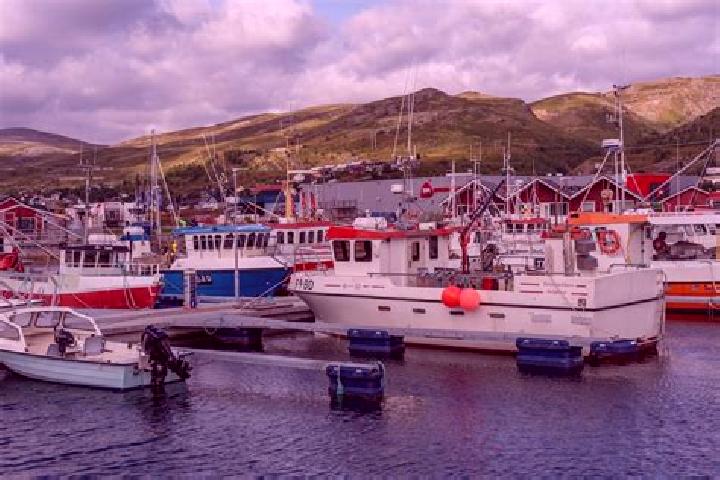 Avery, 25 — Escort in Batsfjord, Norway