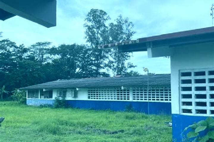 Avery, 25 — Escort in Las Guabas, Panama