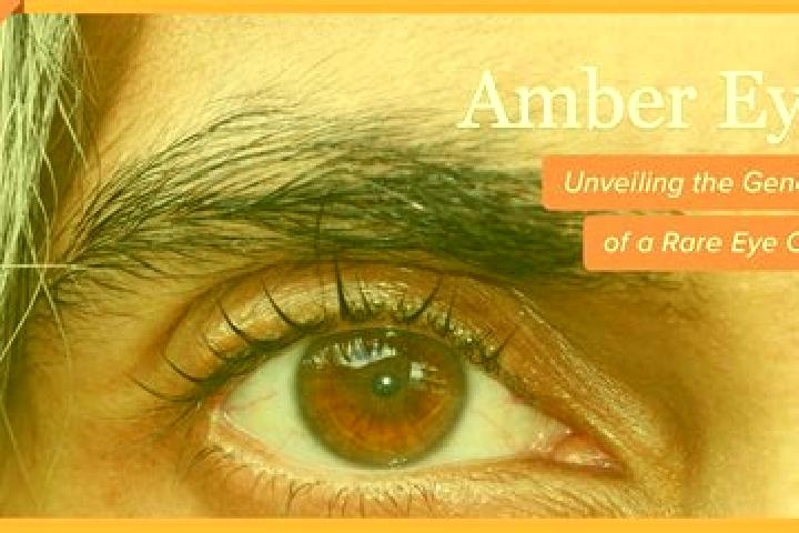 Avery, 26, a black amber-eyed ebony companion based in Pan Set. Offering Overnight, Striptease, Tantra, OWO. Available for incall and outcall, day and evenin...