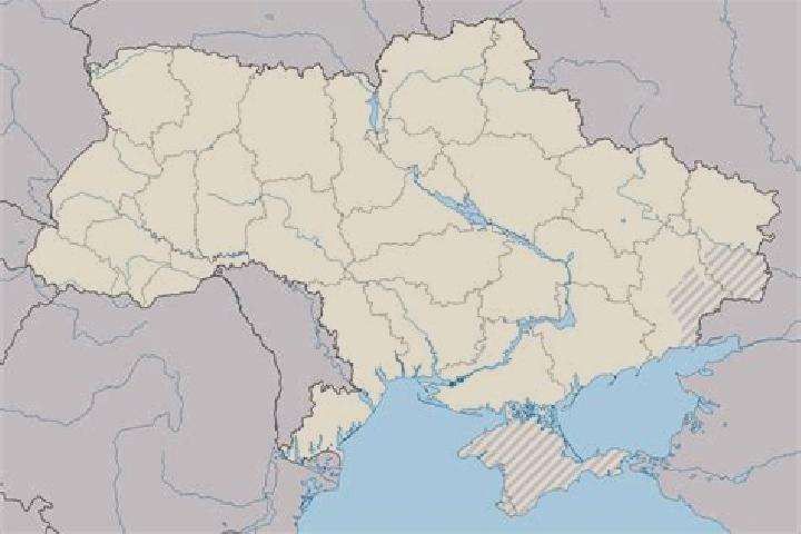 Avery, 26 — Escort in Mala Kokhnivka, Ukraine