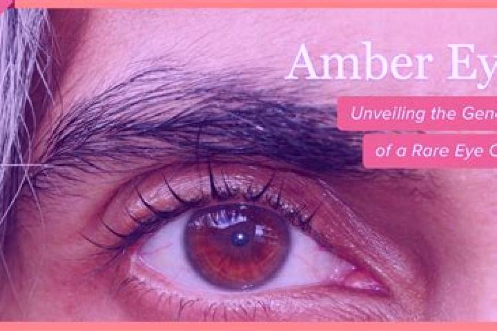 Avery, 27, a black amber-eyed indian companion based in Lingao. Offering GFE, Domination, Girlfriend Experience. Available for incall and outcall, day and ev...