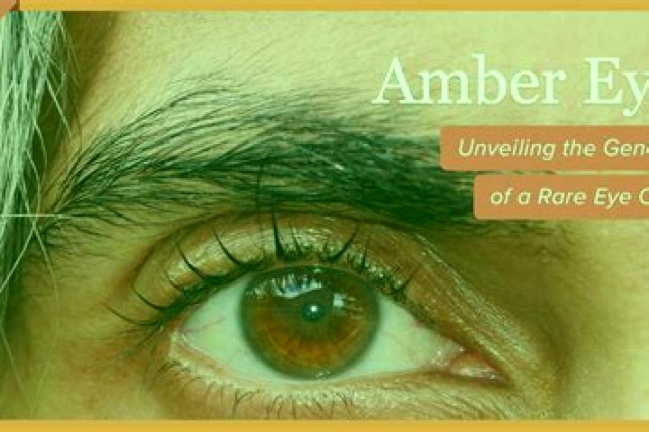 Avery, 27, a red amber-eyed indian companion based in Aspropyrgos. Offering Couples, GFE, A-Level. Available for incall and outcall, day and evening dates.